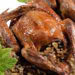 Stuffed Pigeon