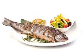 Mullet fish Meal