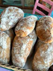 Fresh Ciabatta Bread