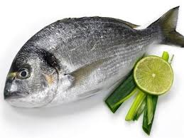 Dennis Fish 1 Kg
