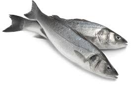 European Seabass Fish 1 Kg