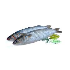 Large Mullet Fish 0.5 Kg