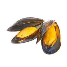 Mussels