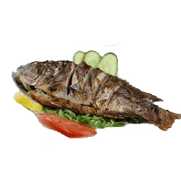 mullet Fish