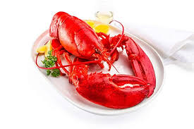 Lobster balady 0.5kg