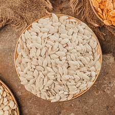 Zucchini Seeds 100g