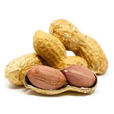 Peanuts in Shell 100g