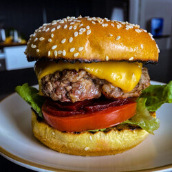 Burger Sandwich