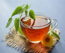Herbs