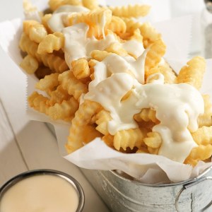 Cheese Sauce Fries