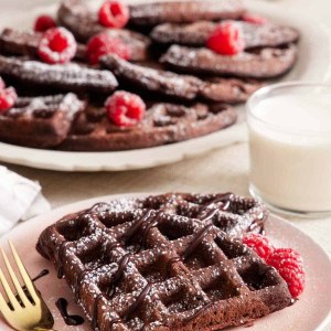 Chocolate Mix Waffle